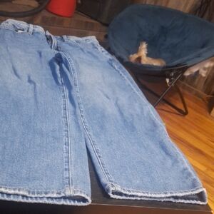 Vervet Barrel Leg Casual Blue Denim Jeans